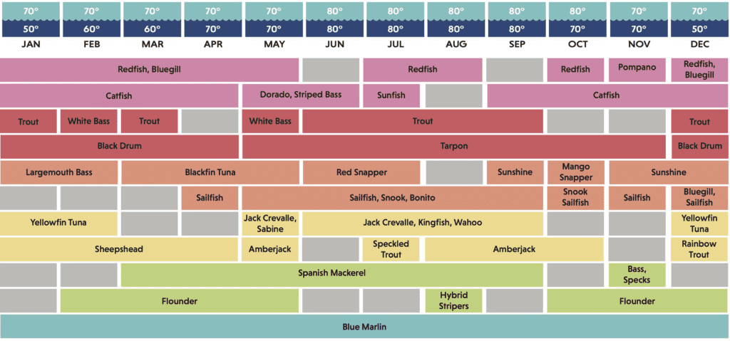 South Padre Island Fish Chart. Fish in South Padre Island, TX