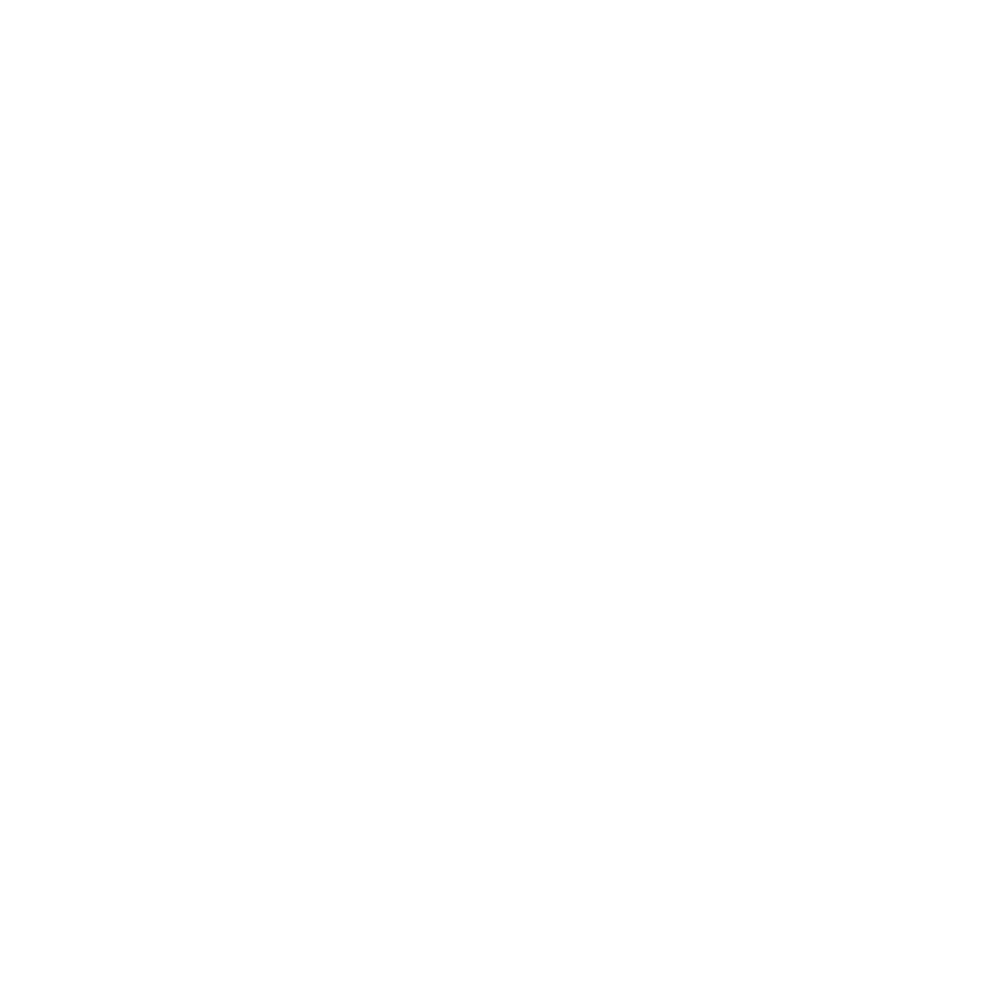 South Padre Island Beach Services Logo