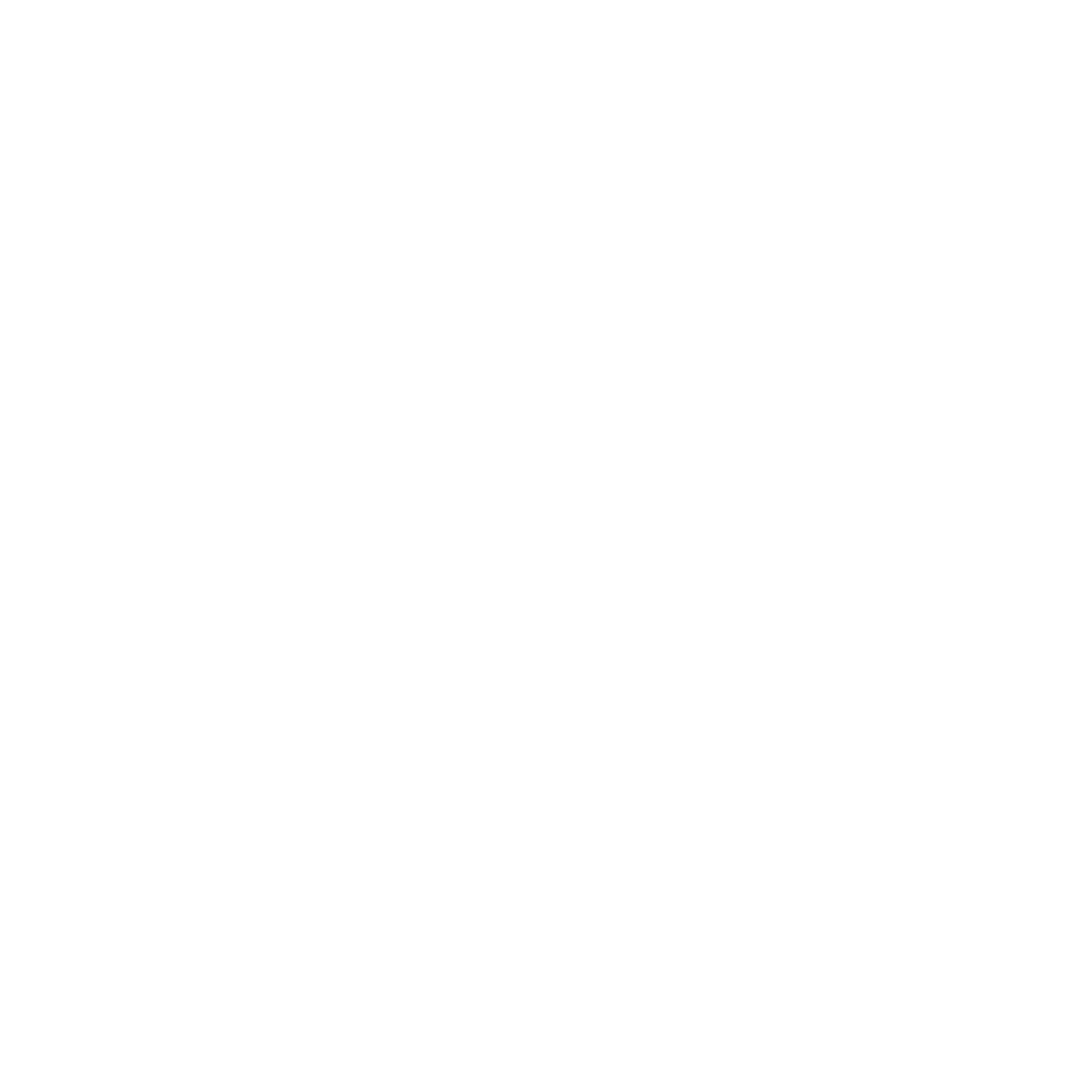 Enjoy South Padre Island Logo