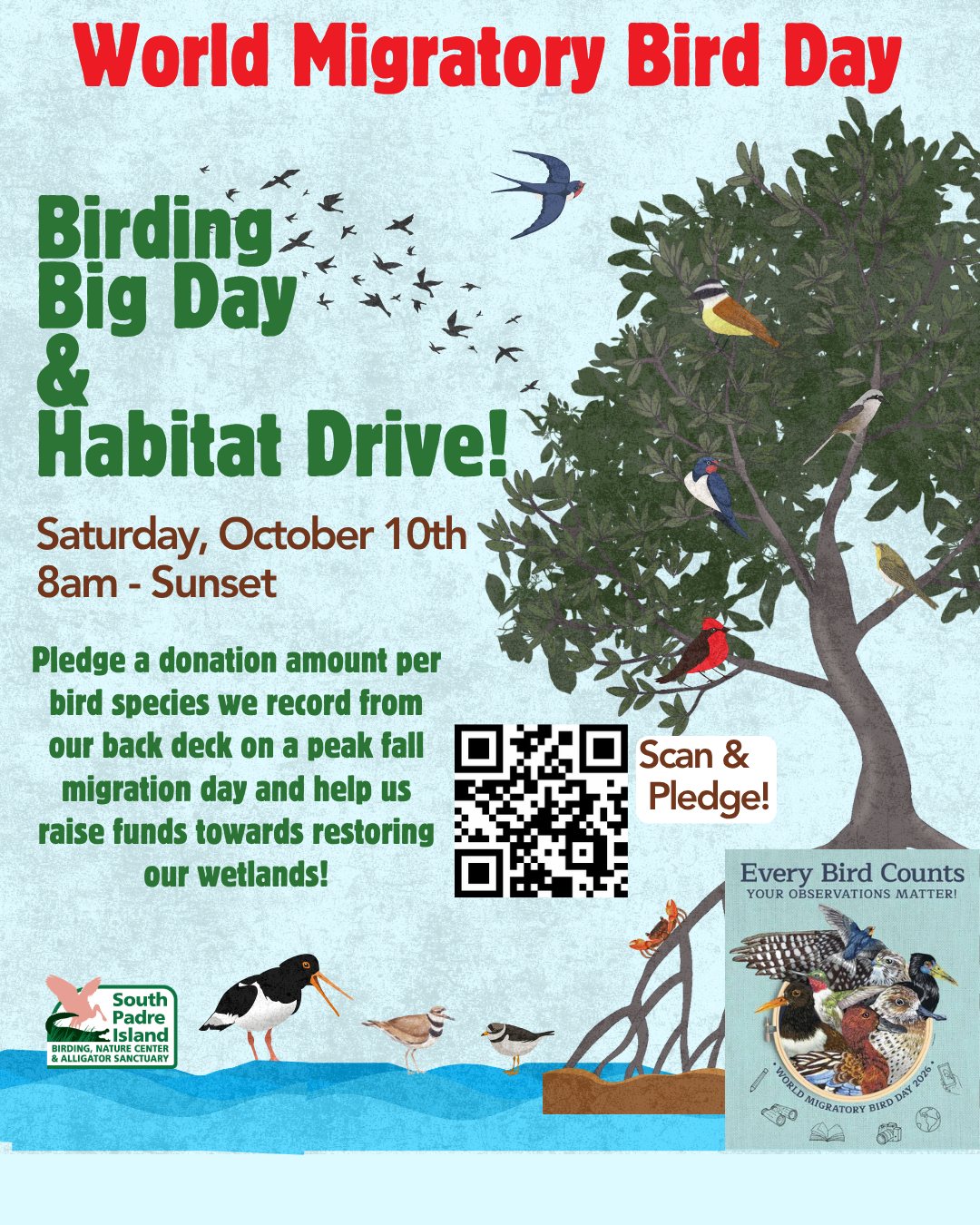 World Migratory Bird Day Birding Big Day & Habitat Drive flyer: Saturday October 10, 8am to sunset, at the South Padre Island Birding, Nature Center & Alligator Sanctuary