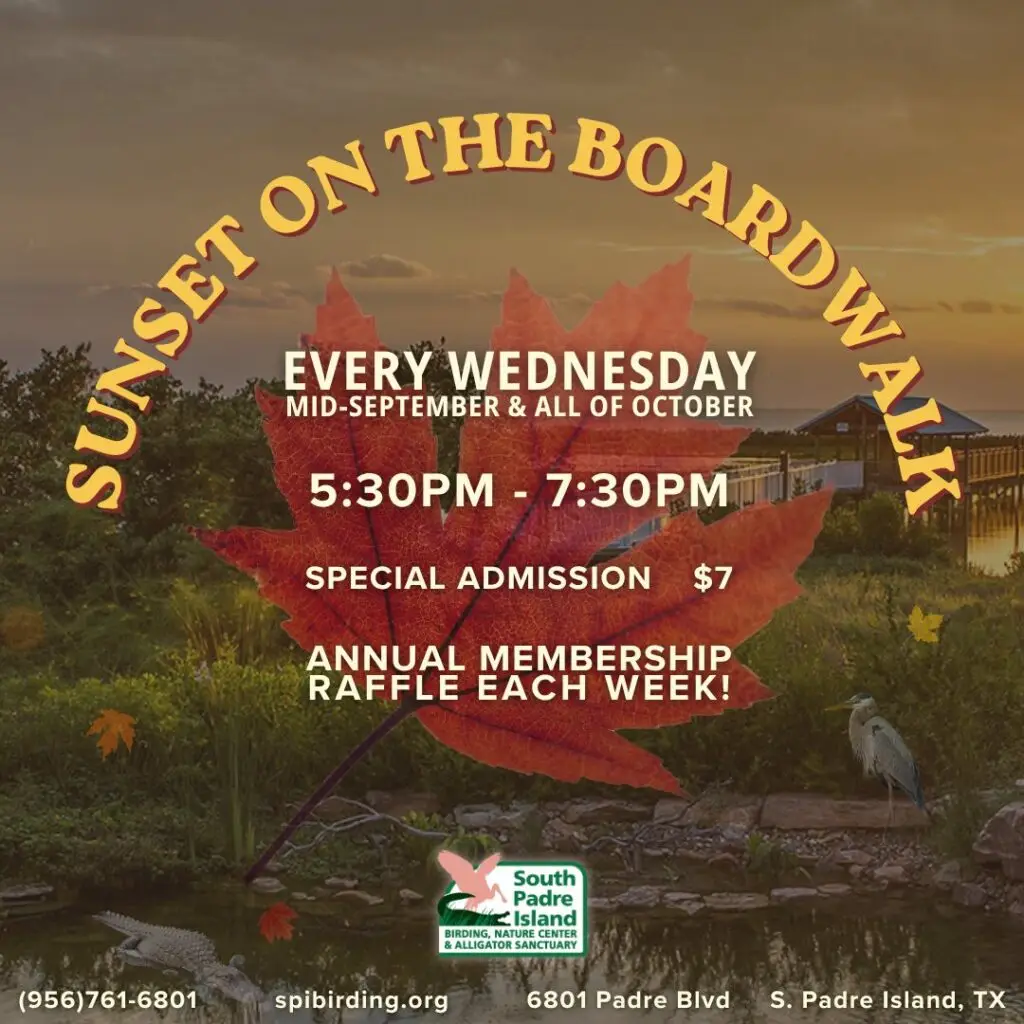 Sunset on the Boardwalk flyer: every Wednesday 5:30-7:30pm, $7 admission, at the South Padre Island Birding, Nature Center & Alligator Sanctuary
